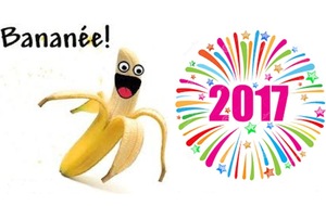 Bonne et heureuse année 2017 à Tous